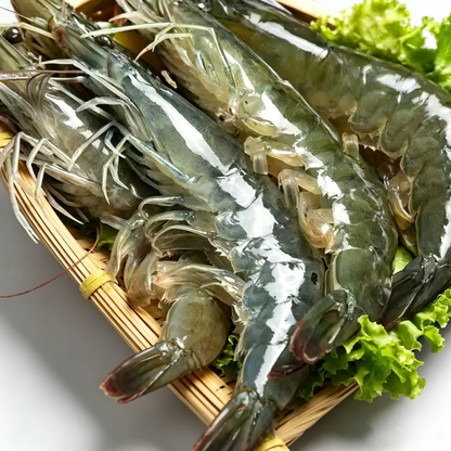 Frozen Raw Whole White Shrimp