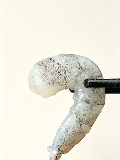Frozen Raw Peeled Shrimp Meat