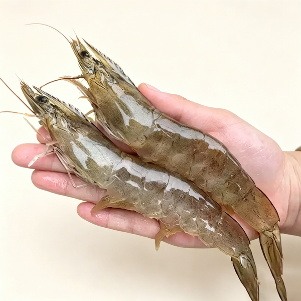 Frozen Raw Whole Prawns