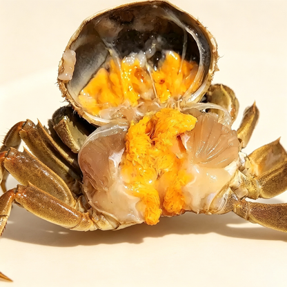 Frozen Hairy Crab Cut Segments